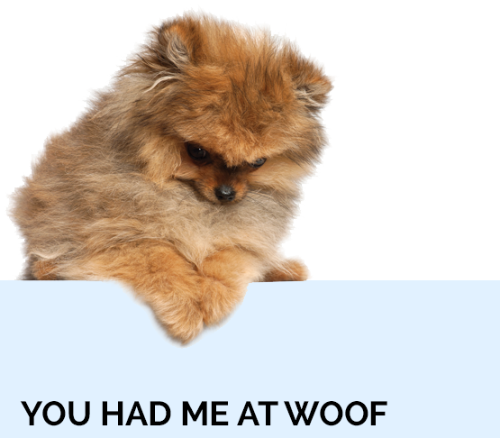 You had me at Woof