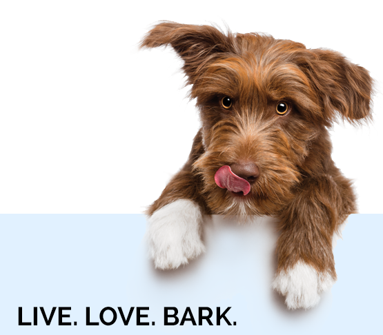 LIVE. LOVE. BARK.